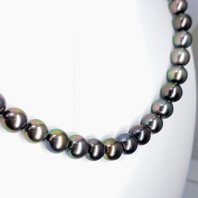 "Gold Standard" 16" Necklace - Tahitian Pearl with 14k Gold Safety Clasp