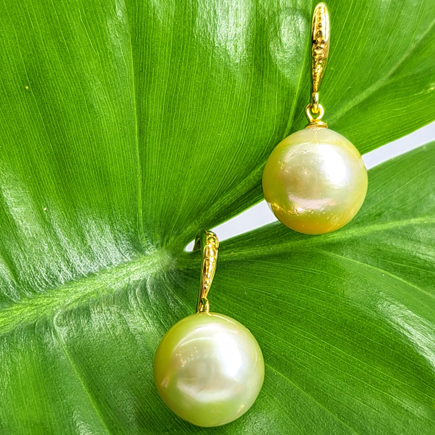 "Golden Delights" 1.25" Earrings - South Sea Golden Pearls, 18k Gold Sterling