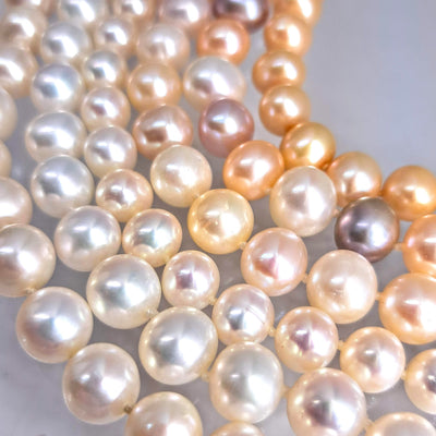 "The Classic" 7.5" Bracelet - Pearls, 14k