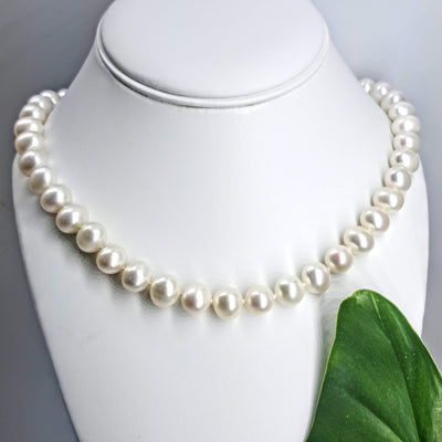 "Classic" 18" Necklace - Pearls, 14K Safety Clasp