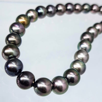 "Gold Standard" 16" Necklace - Tahitian Pearl with 14k Gold Safety Clasp
