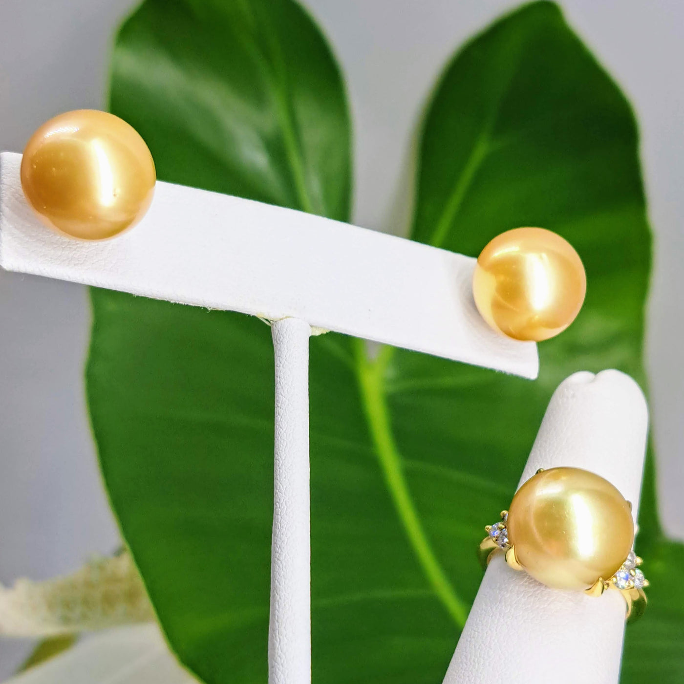 "Goldens" 13mm Stud Earrings - South Sea Golden Pearls, (Specialty Backs Included)