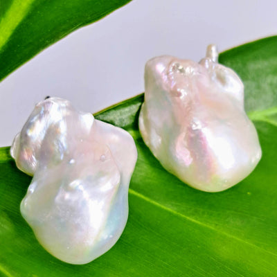 "Pearls Of Paradise" 1.25" Earrings - Pearls, Sterling, Weightlifter Backs