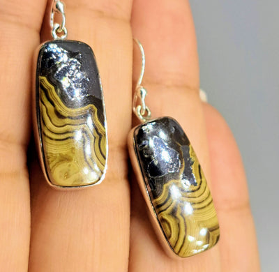 "Schalenblende Friend" 1.5" Earrings - Schalenblende, Sterling