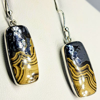 "Schalenblende Friend" 1.5" Earrings - Schalenblende, Sterling