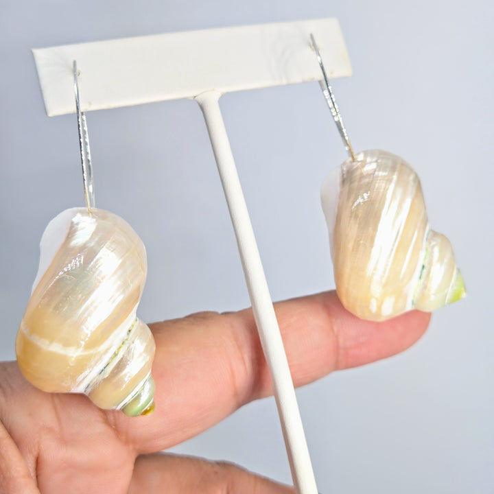 "Shelly-Shell Hoops!" 3" Earrings - Shells, Sterling
