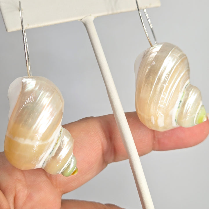 "Shelly-Shell Hoops!" 3" Earrings - Shells, Sterling
