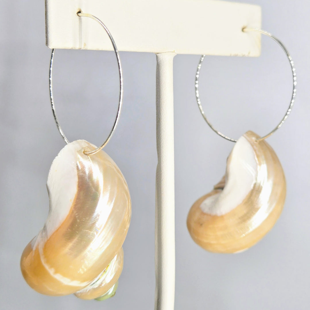 "Shelly-Shell Hoops!" 3" Earrings - Shells, Sterling