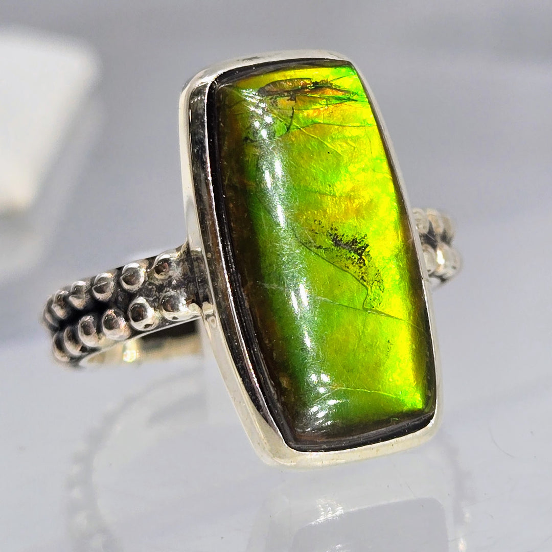 "The Green Flash!" Sz 8 Ring - Ammolite, Sterling