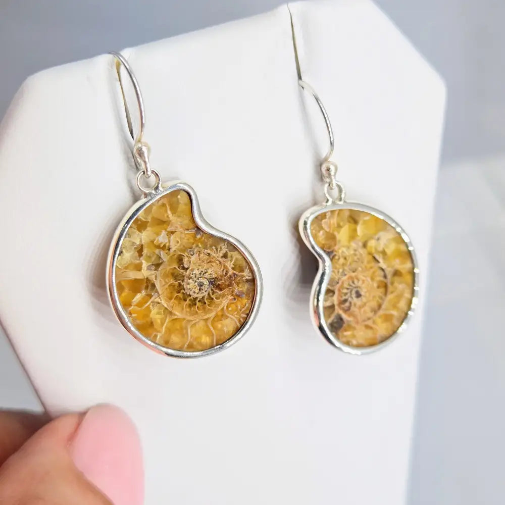 ?ANcient Ammonite’ 1.25 Earrings - Ammonites Sterling