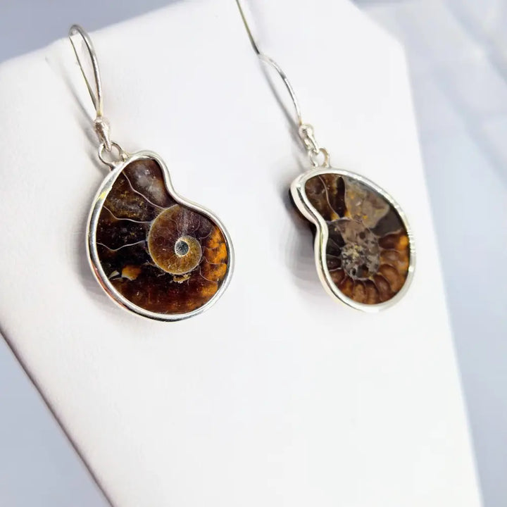 ?ANcient Ammonite’ 1.25 Earrings - Ammonites Sterling