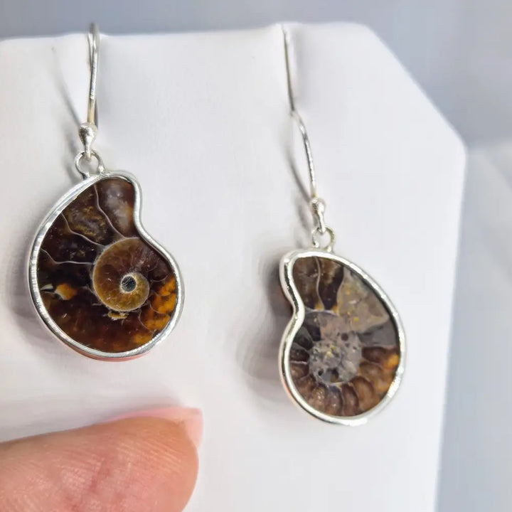 ?ANcient Ammonite’ 1.25 Earrings - Ammonites Sterling