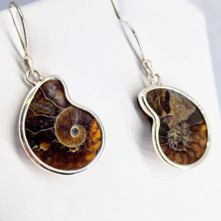 ?ANcient Ammonite’ 1.25 Earrings - Ammonites Sterling - Dark