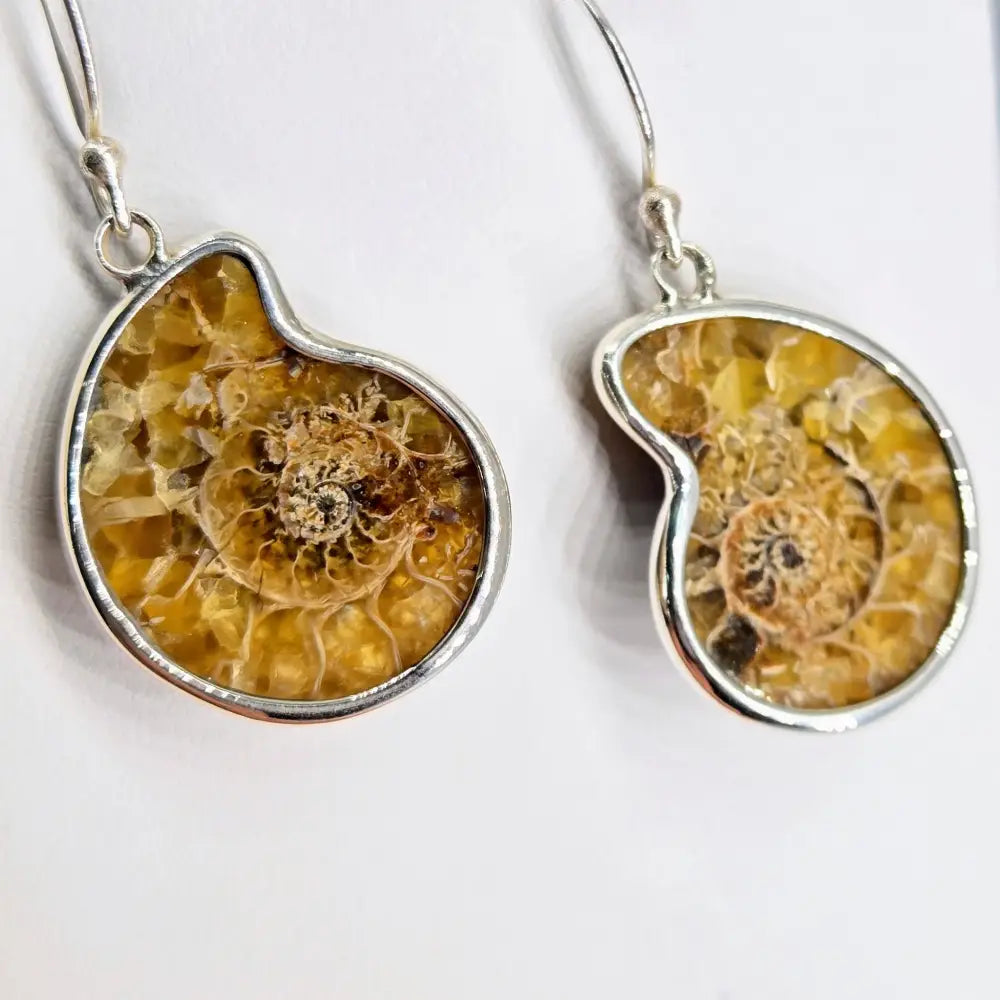 ?ANcient Ammonite’ 1.25 Earrings - Ammonites Sterling - Light