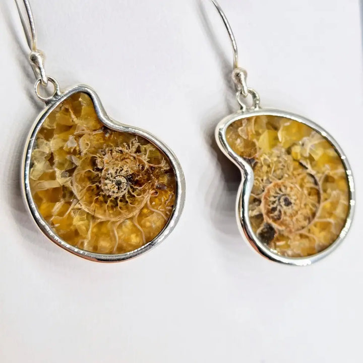 ?ANcient Ammonite’ 1.25 Earrings - Ammonites Sterling - Light