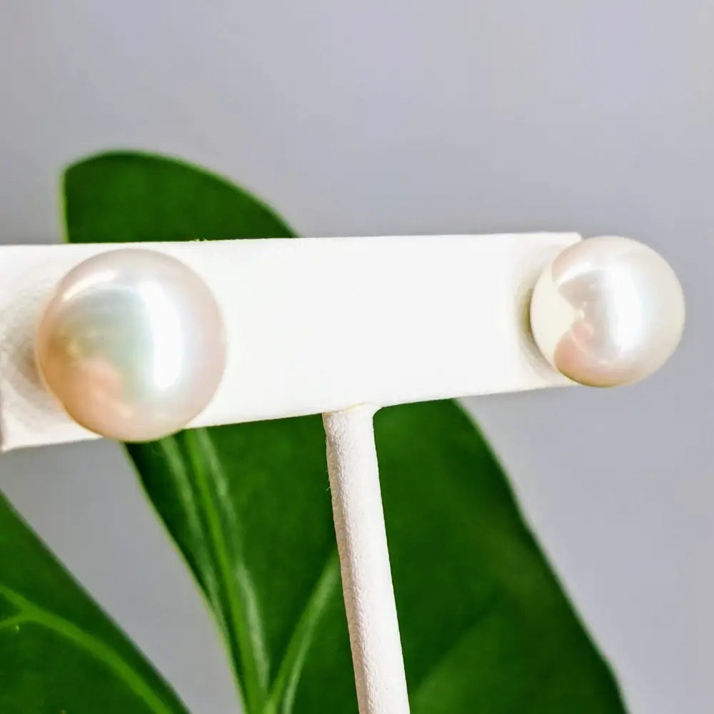 Outlet ?Classic Pearl Studs’ Earrings - Aaa South Sea Pearls 14k Gold - 13mm Studs White Round Posts Grade