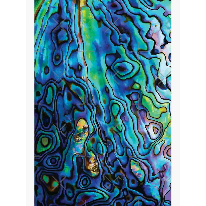 ?EXclamation #2!’ 2’’ Earrings - Mother of Pearl Sterling - Natural