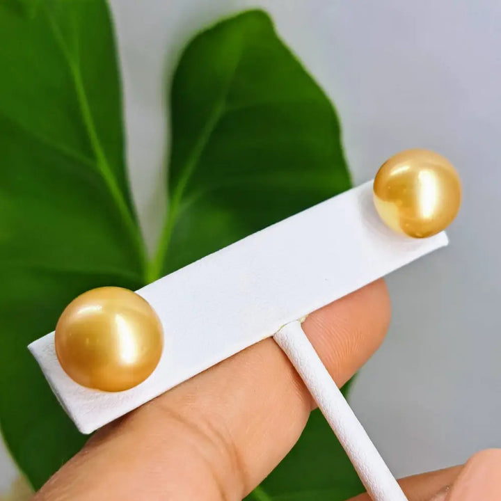 Outlet ?Goldens’ 13mm Stud Earrings - South Sea Golden Pearls (specialty Backs Included)
