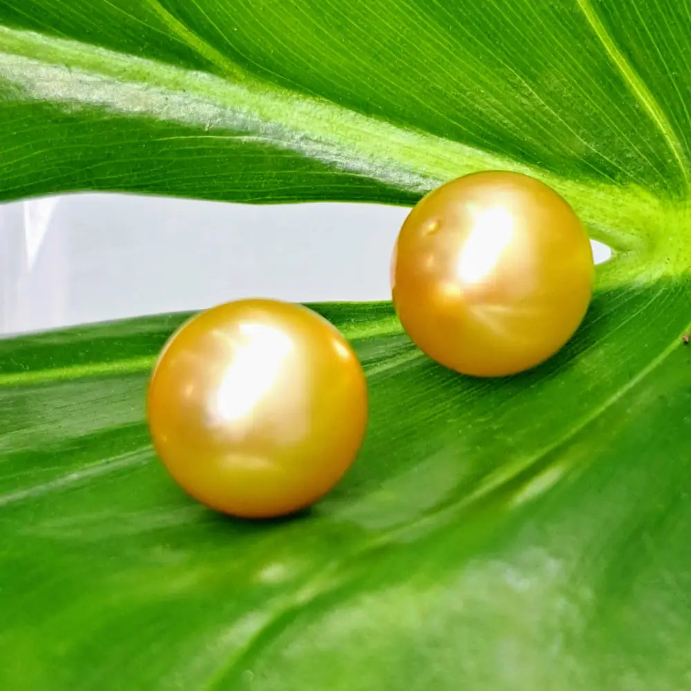 Outlet ?Goldens’ 13mm Stud Earrings - South Sea Golden Pearls (specialty Backs Included)