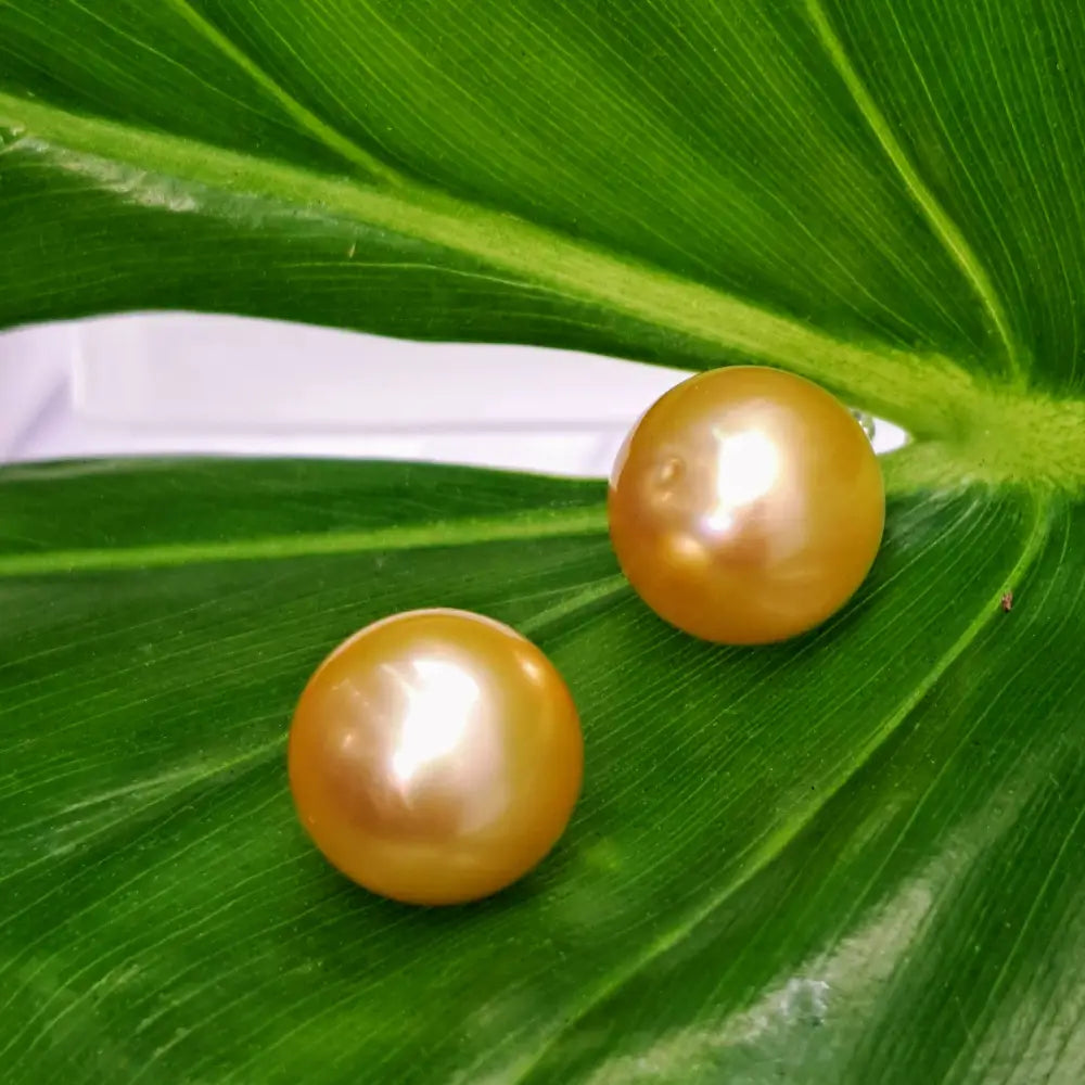 Outlet ?Goldens’ 13mm Stud Earrings - South Sea Golden Pearls (specialty Backs Included)