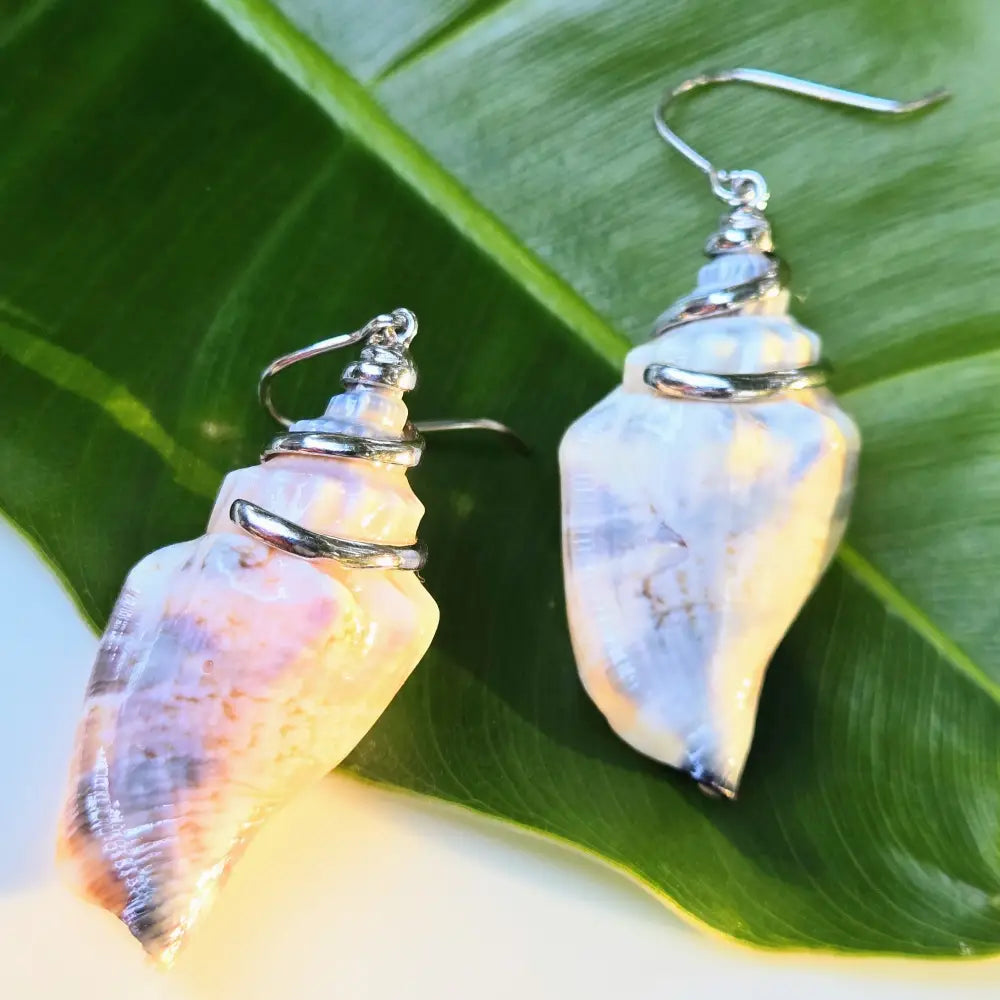 ?KEy West Conch Babies’ 1.75’’ Earrings - Ethically Sourced Shells Sterling
