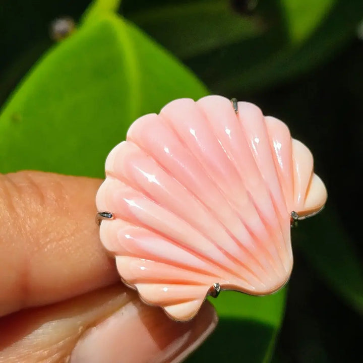 ?SCalloped Conch’ Adj Sz Ring- Conch Shell Anti-tarnish Sterling - Warm/cool Mixed Tones - Ring