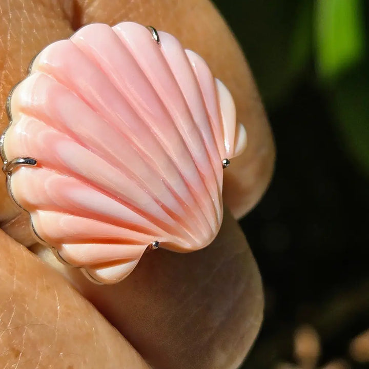 ?SCalloped Conch’ Adj Sz Ring- Conch Shell Anti-tarnish Sterling - Ring