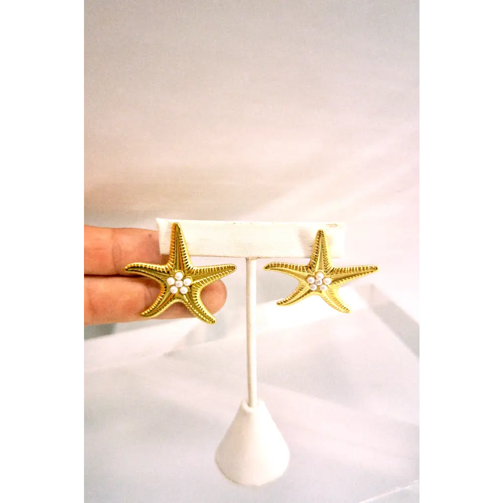 Secret Stash 1 - Starfish Earrings