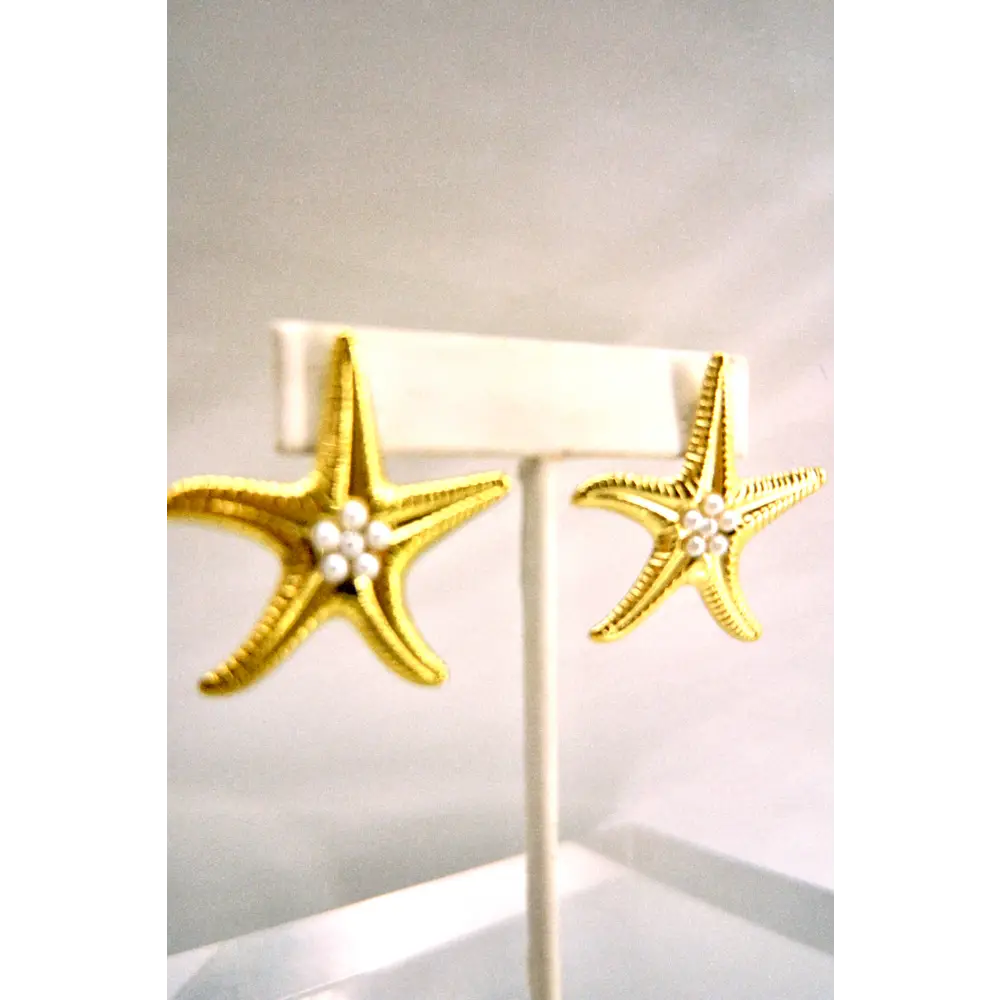 Secret Stash 1 - Starfish Earrings