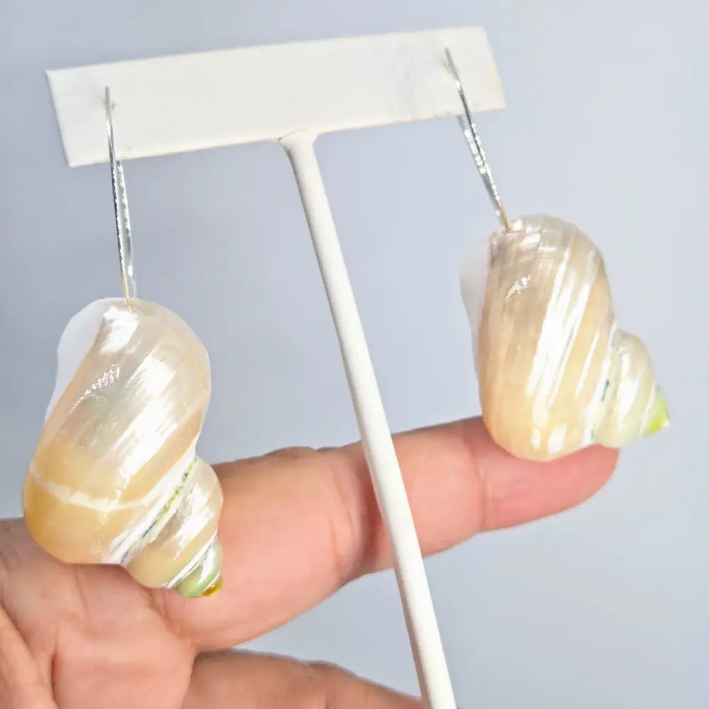 ?SHelly-shell Hoops!’ 3’’ Earrings - Shells Sterling