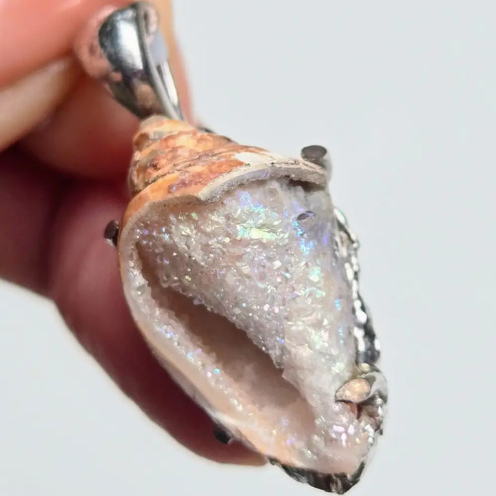 ?SParkle-puss’ Pendant Necklaces - Druzy Fossil Shell Sterling