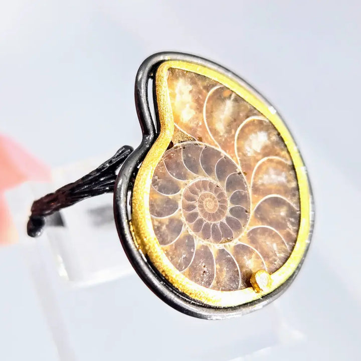 Twig & Fossil Ring Sz 8 Adjustable Ammonite Diamond Black Sterling.925 18k Accents - Rings