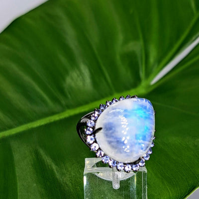 "Moon Glow" Sz 8 Ring - Moonstone, Tanzanite, Black Rhodium Sterling