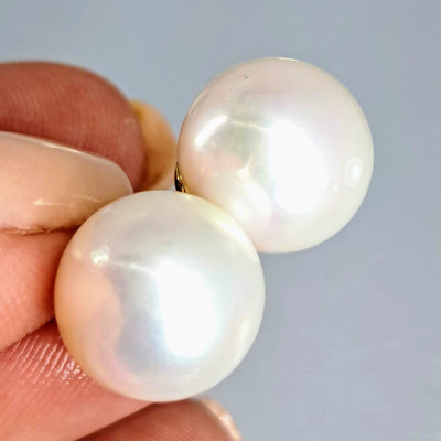 "Classic Pearl Studs" Earrings - South Sea Pearls, 14k Gold