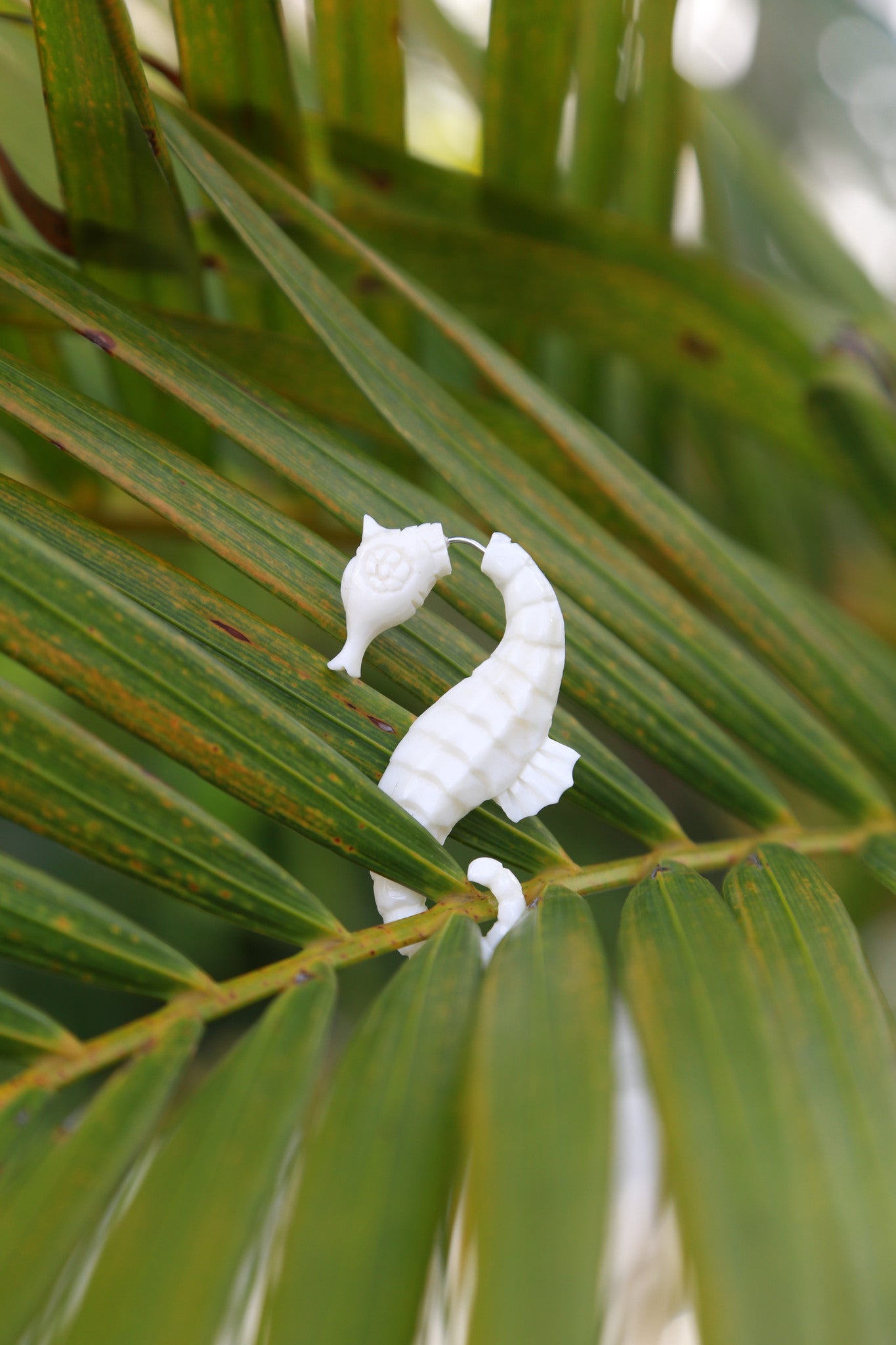 Key West Seahorse Earrings - Key West Jewelry Bar at Local Luxe
 - 5